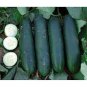 50 PCS Seeds Dark Green Little Cucumber Hybrid F1