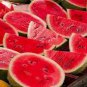 5 PCS Seeds Dark Green Seedless Watermelon Red Inside Fruits