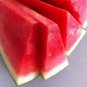 5 PCS Seeds Dark Green Seedless Watermelon Red Inside Fruits