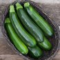 8 PCS Seeds Dark Green Zucchini Summer Squash Bonsai Vegetables