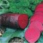 30 PCS Seeds Dark Red Beetroot Cylindra Vegetables