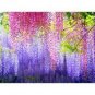 15 PCS Seeds Deep Purple & Rose Red Wisteria Bonsai Flowers