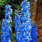 100 PCS Seeds Delphinium Bonsai Flower Forking Larkspur Salmon King