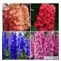100 PCS Seeds Delphinium Bonsai Flower Forking Larkspur Salmon King