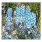 120 PCS Seeds Delphinium Seeds Light Bright Blue Colors