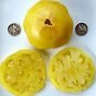 100 PCS Seeds Dixie Golden Giant Tomato Seeds Yellow Big Tomato Fruits