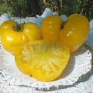 1000 PCS Seeds Dixie Golden Giant Tomato Seeds Yellow Big Tomato Fruits