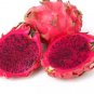 100 PCS Seeds Dragon Fruit Pitaya Red (White, Yellow) Organic
