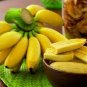 100 PCS Seeds Dwarf Banana
