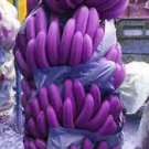 100 PCS Seeds Dwarf Banana Seeds Purple Skin 100 PCS Seeds Dwarf Banana Seeds Purple Skin