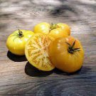 250 PCS Seeds Dwarf Big Yellow Tomato 'Nong Xin' OrganiC 250 PCS Seeds Dwarf Big Yellow Tomato 'Nong Xin' OrganiC