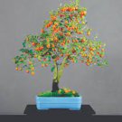 20 PCS Seeds Dwarf Persimmon Seeds Bonsai Mini Fruits 20 PCS Seeds Dwarf Persimmon Seeds Bonsai Mini Fruits