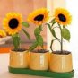 20 PCS Seeds Dwarf Sunflower Bonsai Indoor & Outdoor Dwarf Mini Sunflower Bonsai