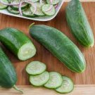 50 PCS Seeds Early Spring Burpless Hybrid Cucumber