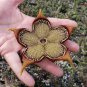 15 PCS Seeds Edithcolea Grandis Succulent Carrion Flower
