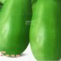 60 PCS Seeds Eggplant Little Green Vegetable