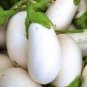 700 PCS Seeds Eggplant Seeds Heirloom Moon White Long Hybrid Vegetables