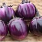 10 PCS Seeds Eggplant Violet Colors with White Streaks Vegetable