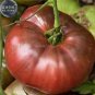 100 PCS Seeds Eluosi' Cherokee Purple Giant Tomato