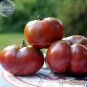 100 PCS Seeds Eluosi' Cherokee Purple Giant Tomato