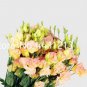 200 PCS Seeds Eustoma Seed Perennial Flowering Plants
