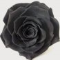 100 PCS Seeds Exotic Rainbow Rose Plants Mixed Colors Rosa Planta Outdoor Seed Potted