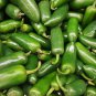 10 PCS Seeds Famous Spanish Heirloom Padron Pepper