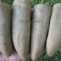 5 PCS Seeds Farmers Jalapeno Pepper