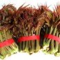 5 PCS Seeds Fast-Growing, New Strange Health Vegetable Toona sinensis Potted