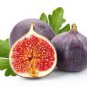 6 PCS Seeds Ficus carica L. Purple Patlican Fig Fresh
