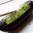 20 PCS Seeds Finger Limes Black Skin Green Inside Fruit Seeds Organic Juicy 20 PCS Seeds Finger Limes Black Skin Green Inside Fruit Seeds Organic Juicy