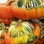 5 PCS Seeds Flower Goddess 'Burner' Pumpkin Ornamental Vegetables
