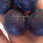 6 PCS Seeds Fracazano Bianco Black Fig Tree