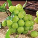 100 PCS Seeds Fragrant Sweet Green Grape Organic