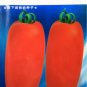 300 PCS Seeds French Liz Red Long Tomato