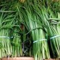 50 PCS Seeds Fresh Garlic Chives Seeds Allium Tuberosum Chinese Chives