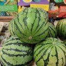 20 PCS Seeds Fruits Goji Coffee Pineberry Grape Water Melon Vegetables 20 PCS Seeds Fruits Goji Coffee Pineberry Grape Water Melon Vegetables