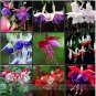 100 PCS Seeds Fuchsia Bonsai Hanging Flowers