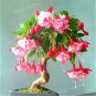 200 PCS Seeds Fuchsia Bonsai Garden Balcony Lanterns Flowers