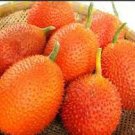 10 PCS Seeds Gac Fruit Seeds Momordica Cochinchinensis