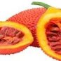10 PCS Seeds Gac Fruit Seeds Momordica Cochinchinensis