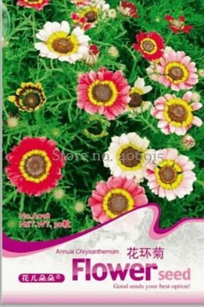 30 PCS Seeds Garland Chrysanthemum