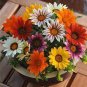 100 PCS Seeds Gazania Bonsai Multicolor Mixed Plant Beautiful Gazania Flower Garden