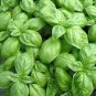 20 PCS Seeds Genovese Basil