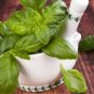 20 PCS Seeds Genovese Basil