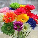 100 PCS Seeds Gerbera Daisy Bonsai New Hybrids, Mixed Flower Pot Bonsai