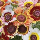 200 PCS Seeds Gerbera Daisy Hybrids Mix Flower Plantas Bonsai