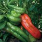 100 PCS Seeds Giant Marconi Pepper Organic