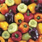200 PCS Seeds Giant Sweet Pepper Rose Red Black Yellow Whit 200 PCS Seeds Giant Sweet Pepper Rose Red Black Yellow Whit