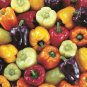 200 PCS Seeds Giant Sweet Pepper Rose Red Black Yellow Whit